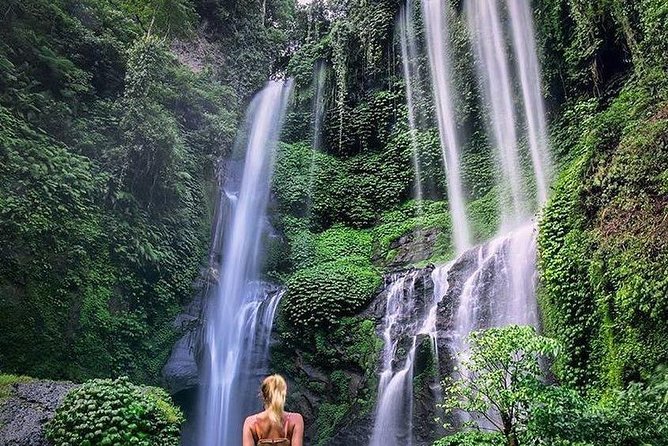 Bali Best Waterfalls Tour : Sekumpul and Banyumala - Sekumpul Waterfall: big views, hard steps