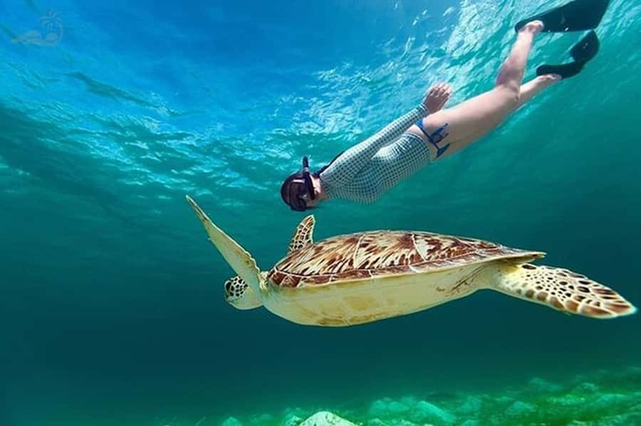 Bali: Blue Lagoon Snorkel, Kanto Lampo & Tibumana Waterfalls - Lunch gives the long transfer a useful pause