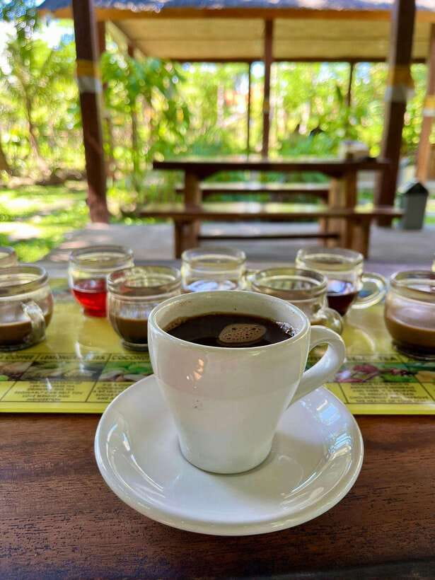 Bali: Blue Lagoon Snorkeling, Waterfall, and Plantation - Getting there from Bali’s resort areas