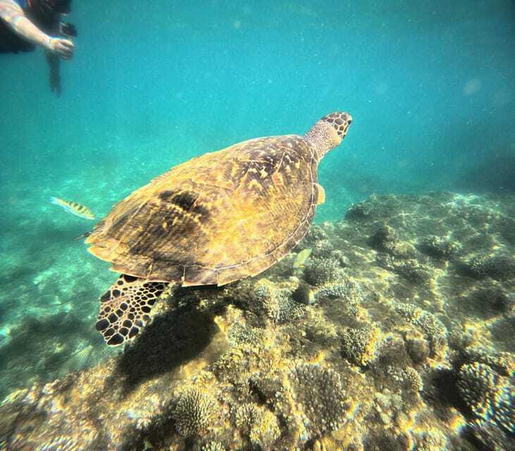 Bali: Blue Lagoon Snorkeling, Waterfall, and Plantation - Practical packing advice for a wet day
