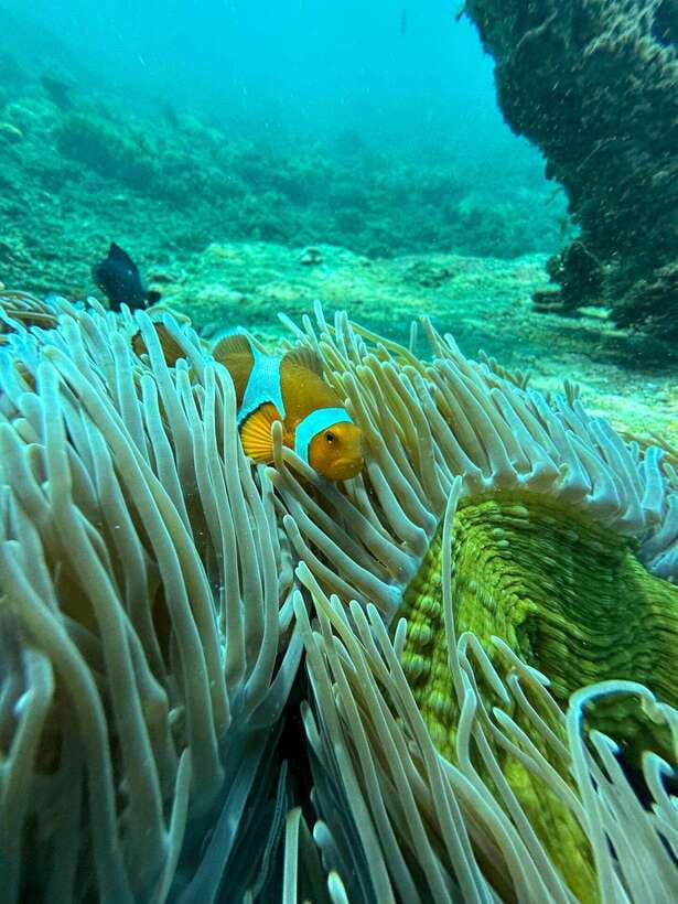 Bali: Blue Lagoon Snorkeling, Waterfall, and Plantation - Should you book the Blue Lagoon package?