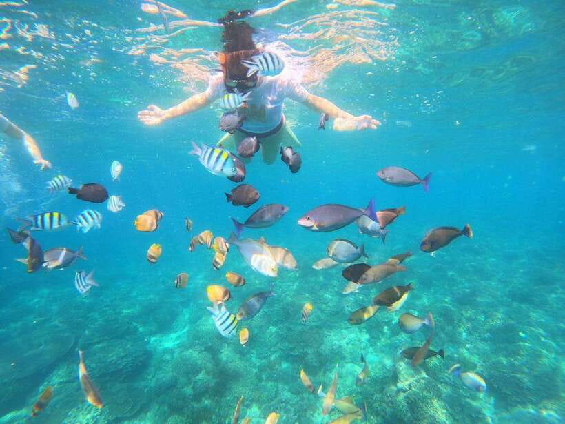 Bali: Blue Lagoon Snorkeling & Waterfall Tour - What the $19 price really covers
