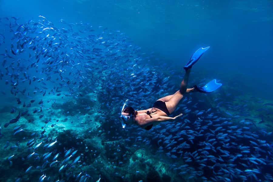 Bali: Blue Lagoon Snorkeling & Waterfall Tour with Lunch - Two bays, one easy introduction to Bali’s sea life