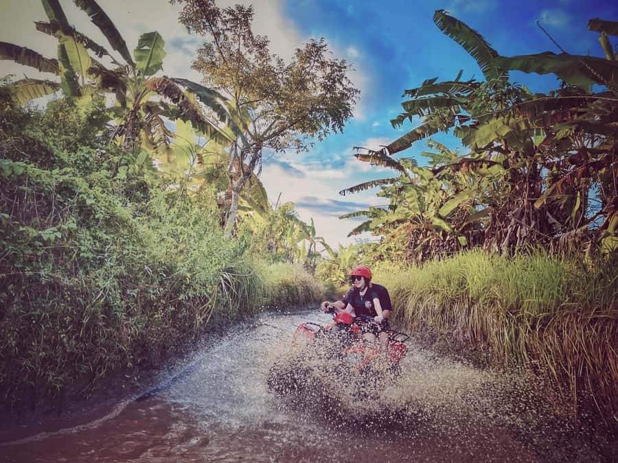 Bali: Blue Lagoon Snorkeling & Waterfall Tour with Lunch - Indonesian lunch in Padangbai