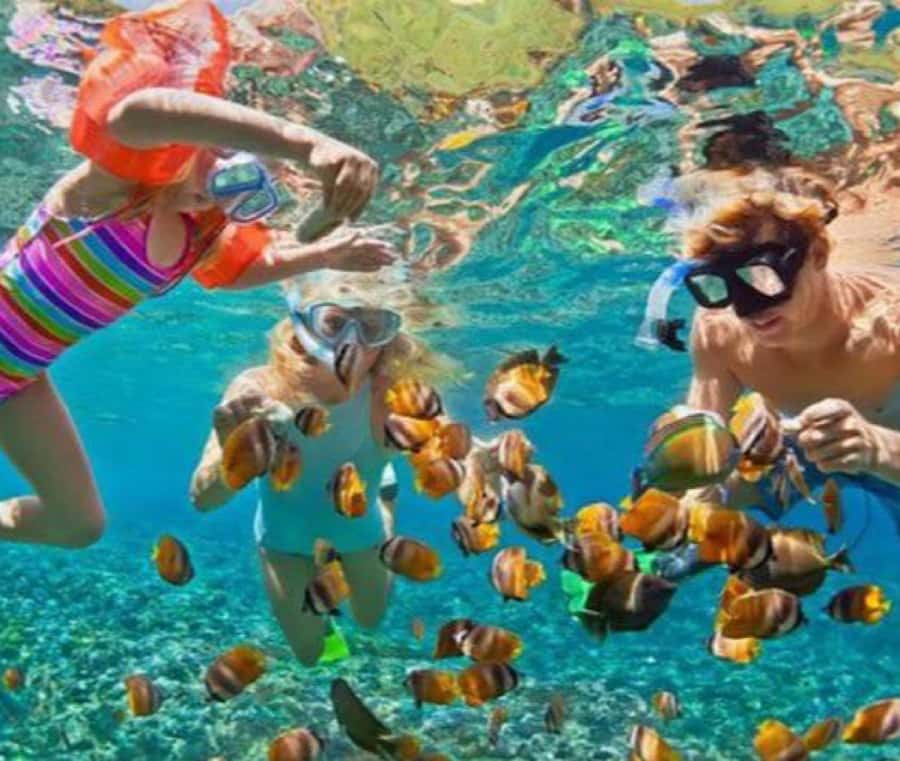 Bali: Blue Lagoon Snorkeling & Waterfall Tour with Lunch - Who should book this outing?