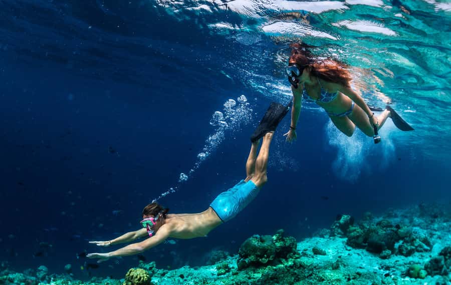 Bali: Blue Lagoon Snorkeling & Waterfall Tour with Lunch - What the reef experience is really like