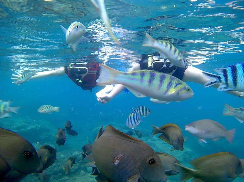 Bali: Blue Lagoon Snorkeling & Waterfall Tour - Tanjung Jepun adds a second snorkeling setting
