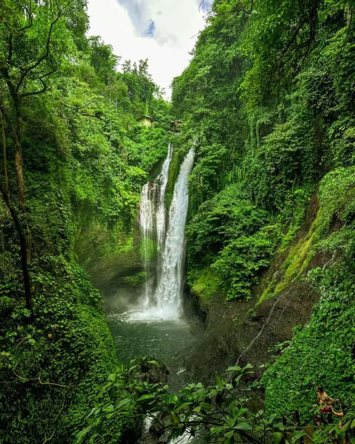 Bali: Cliff Jumping Gitgit Waterfalls & Rice Terrace Tour - Who will enjoy this day most