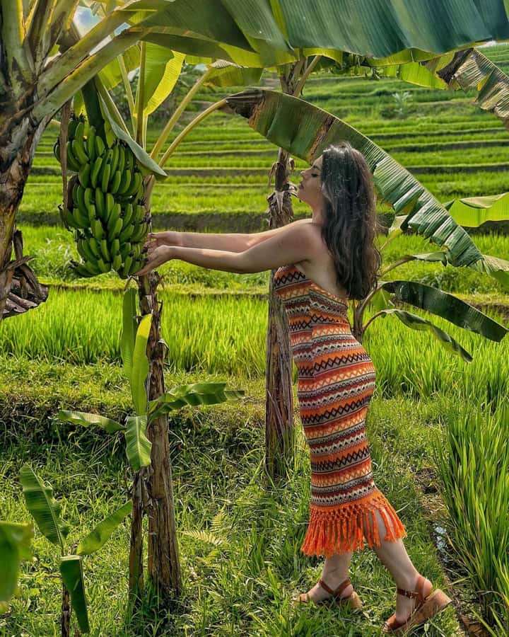 Bali: Cliff Jumping Gitgit Waterfalls & Rice Terrace Tour - What to bring for a smoother day