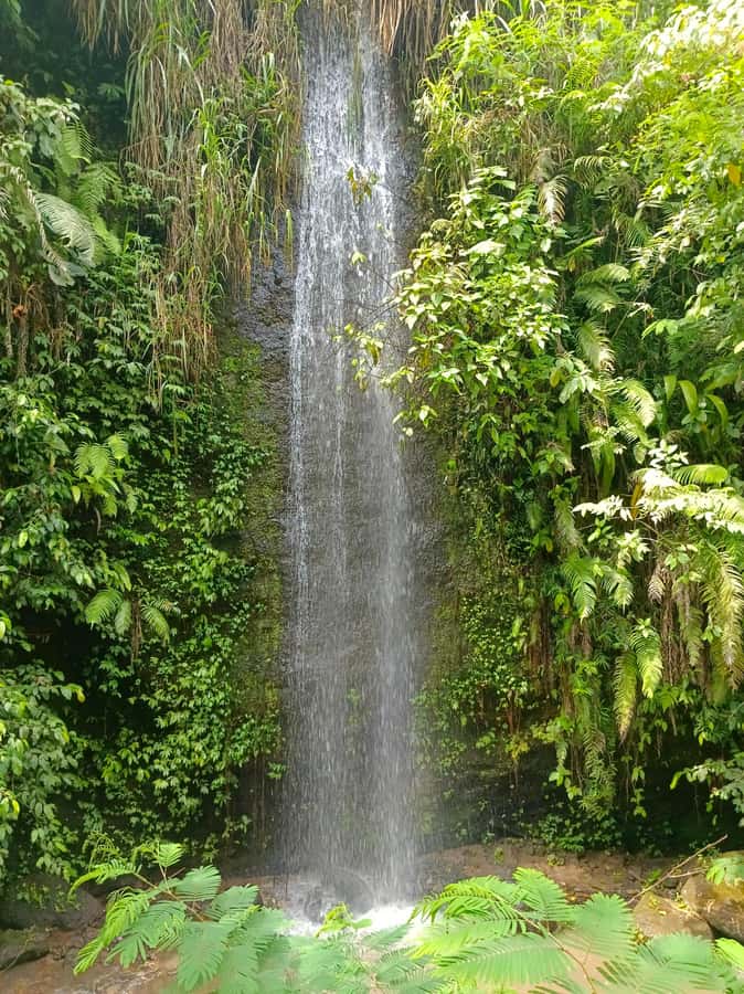 Bali : Day Trip to Besakih Temple & 2 Hidden Waterfalls - The long road to eastern Bali