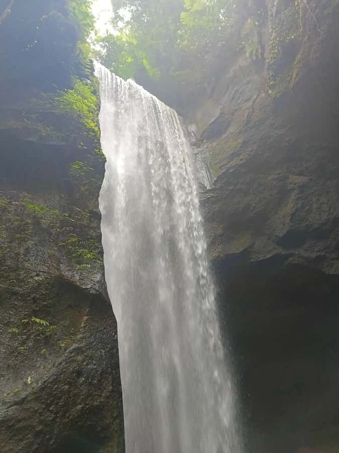 Bali : Day Trip to Besakih Temple & 2 Hidden Waterfalls - Lunch with rice-field views