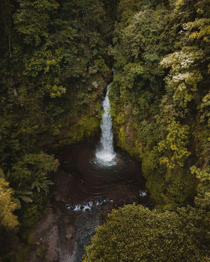 Bali: Discover Jungle Waterfalls and Rice Terraces - Key points at a glance