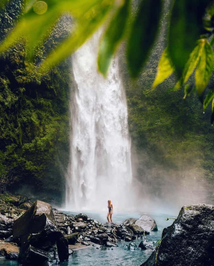 Bali: Discover Jungle Waterfalls and Rice Terraces - Is $35 a fair price?
