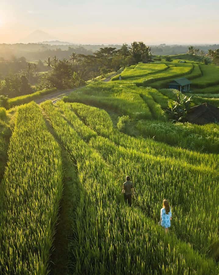 Bali: Discover Jungle Waterfalls and Rice Terraces - Goa Gong’s cave-like curtain of water