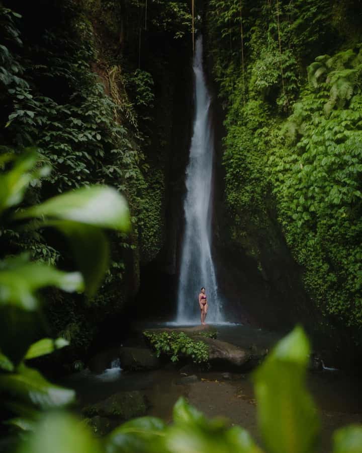 Bali: Discover Jungle Waterfalls and Rice Terraces - The private car and the long Bali day