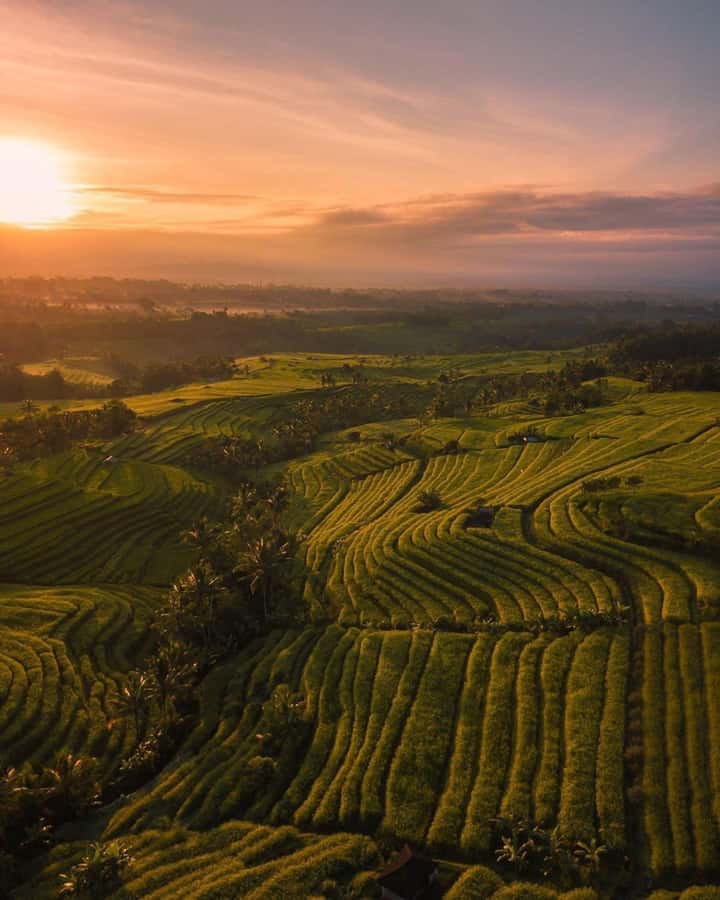 Bali: Discover Jungle Waterfalls and Rice Terraces - Guides, photos, and the human side of the day