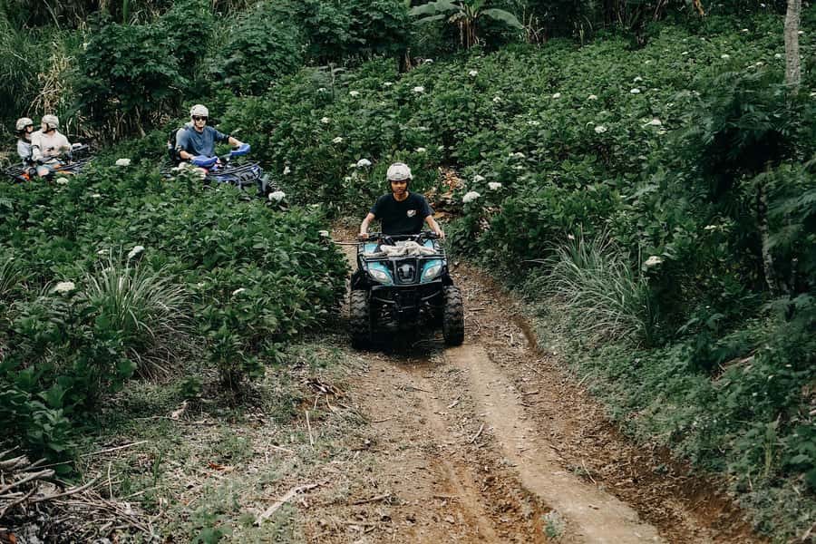 Bali: Dolphin Swimming Tour with ATV Quad Bike & Waterfall - ATV Trails Through Coffee Country