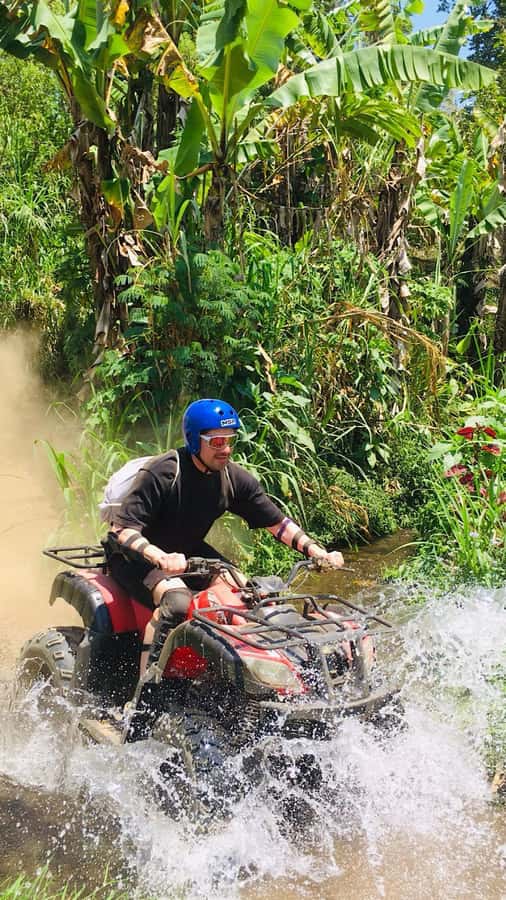 Bali: Dolphin Swimming Tour with ATV Quad Bike & Waterfall - Hydrangeas, Coffee, and a Pause in the Hills