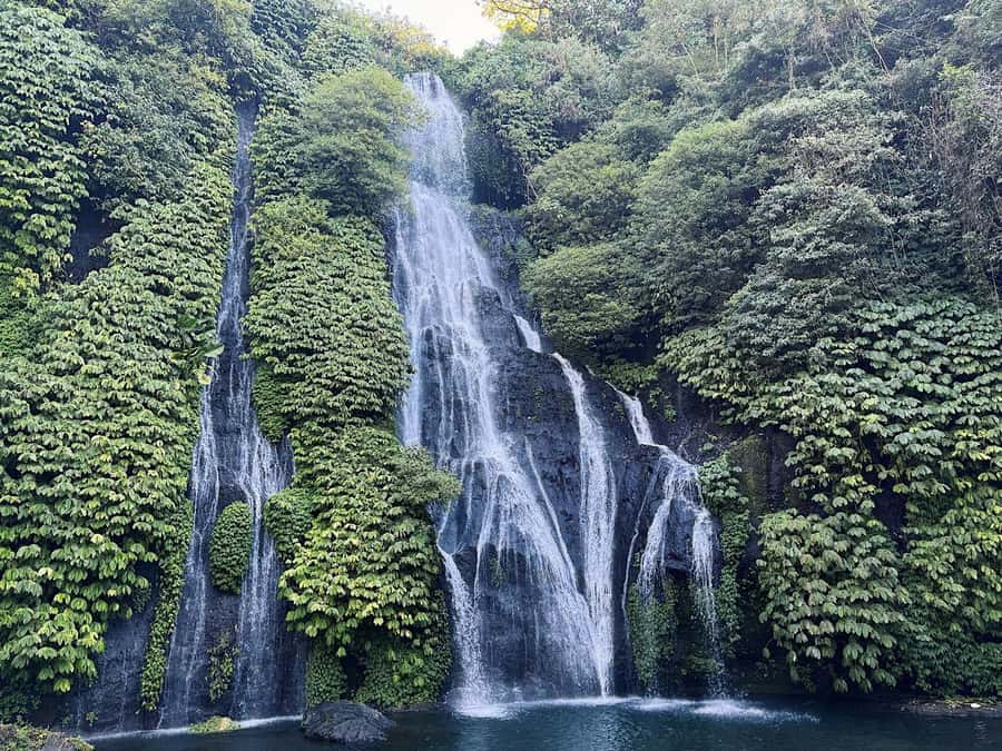 Bali: Dolphin Swimming Tour with ATV Quad Bike & Waterfall - What the $81 Price Really Covers