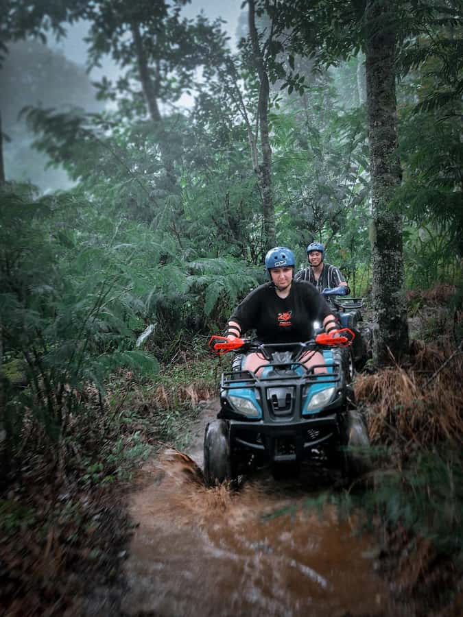 Bali: Dolphin Swimming Tour with ATV Quad Bike & Waterfall - Who Will Enjoy This North Bali Day?