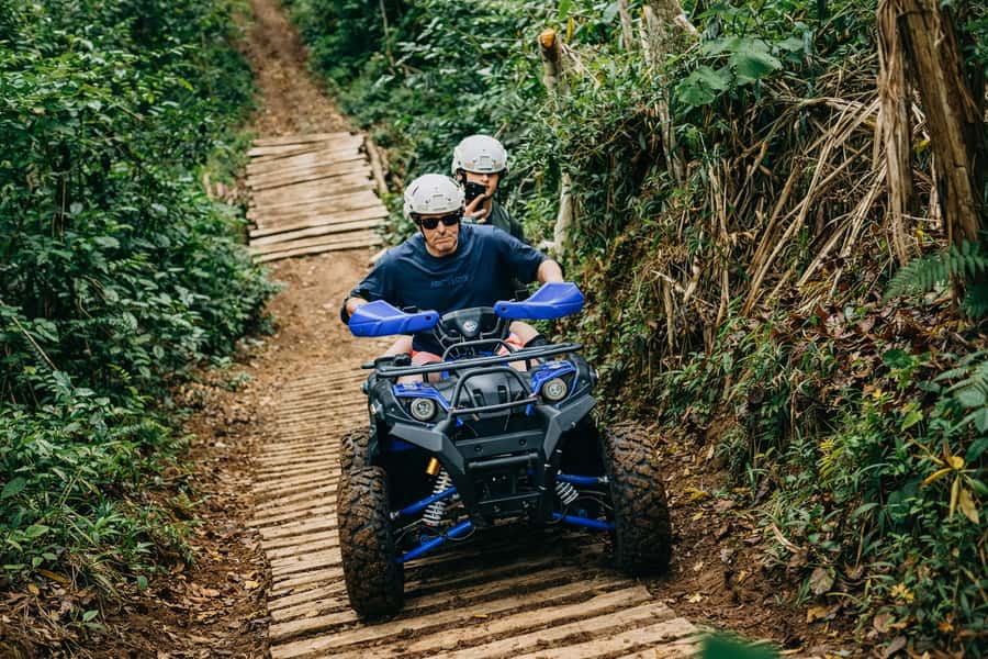 Bali: Dolphin Swimming Tour with ATV Quad Bike & Waterfall - Sunrise Dolphin Watching in the Open Sea