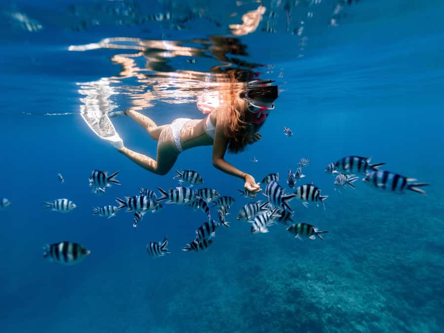 Bali: East Bali Hidden Gems. Exotic Beaches & Waterfalls. - Blue Lagoon: 2.5 hours around clear water