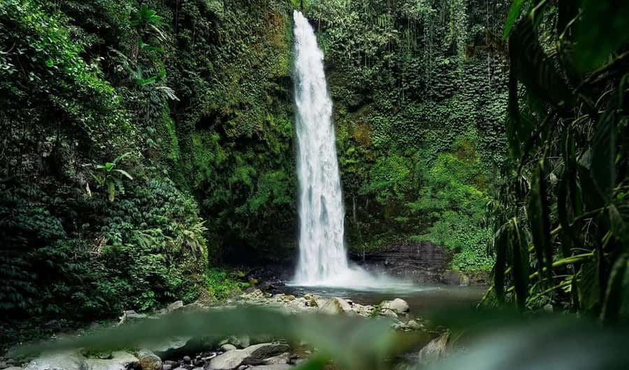 Bali: Full-Day Tour of Nungnung Waterfall, Tanah Lot Tample - What the private format changes