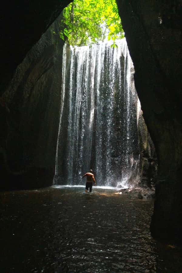 Bali: Gate of Heaven, Waterfall and Ubud All-Inclusive Tour - Rice terraces and the final swing