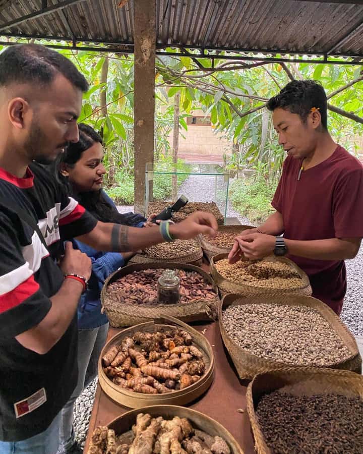 Bali: Kintamani Cafe, Waterfall, Temple and Cretya Ubud Tour - What the $35 price really covers
