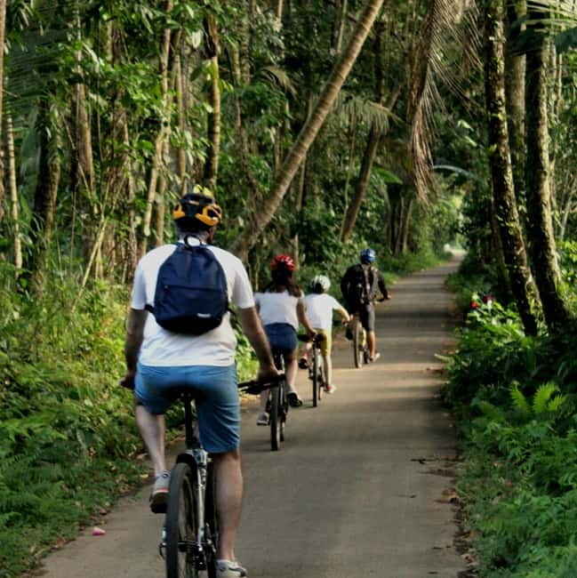Bali: Kintamani Downhill Bike Tour, Jungle and Waterfalls - From Mount Batur views to a quiet country road