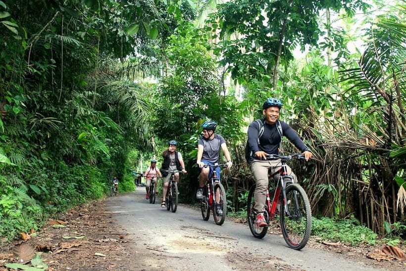 Bali: Kintamani Downhill Bike Tour, Jungle and Waterfalls - Coffee, bamboo, and the rhythm of village roads