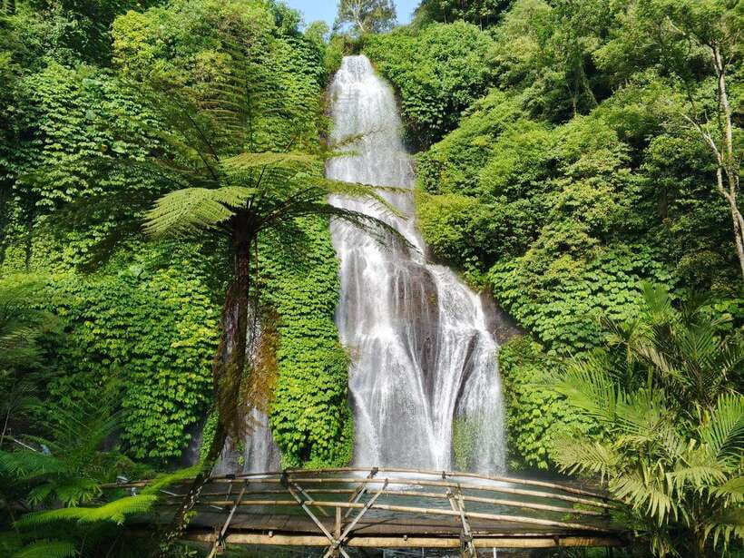 Bali: Lake Temple, Jatiluwih Rice Terrace & Waterfall Tour - Key points at a glance