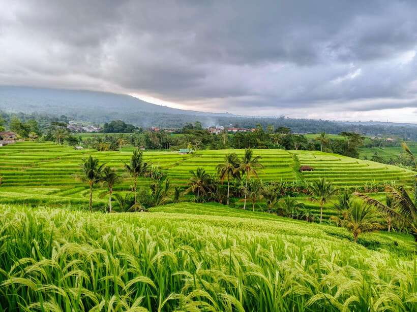Bali: Lake Temple, Jatiluwih Rice Terrace & Waterfall Tour - Ulun Danu Beratan beside the lake