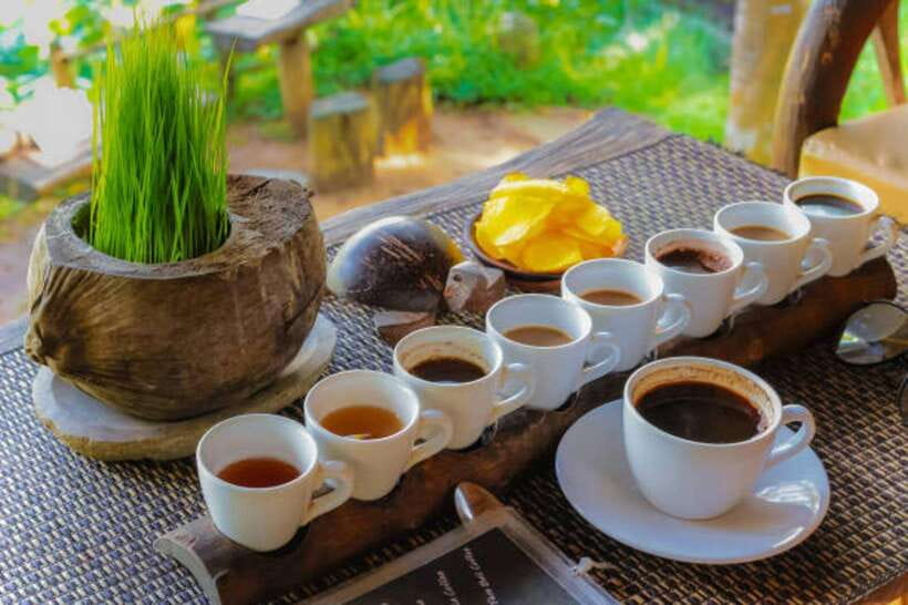 Bali: Lempuyang Temple, Tirta Gangga, and Temesi Waterfall … - Coffee plantation tasting and local flavors
