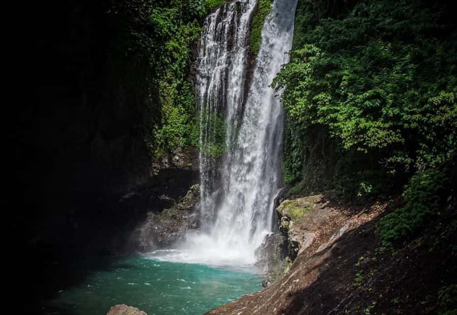 Bali/Lovina: Dolphin Snorkeling, Swimming & Waterfall Tour - What to pack for the boat and reef