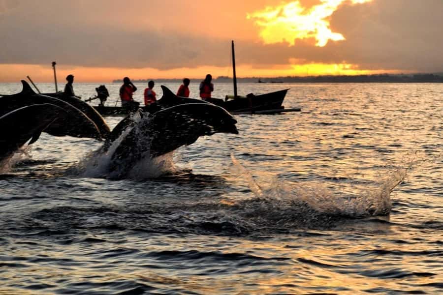 Bali/Lovina: Dolphin Snorkeling, Swimming & Waterfall Tour - Lovina before sunrise: a beautiful start with a hard alarm