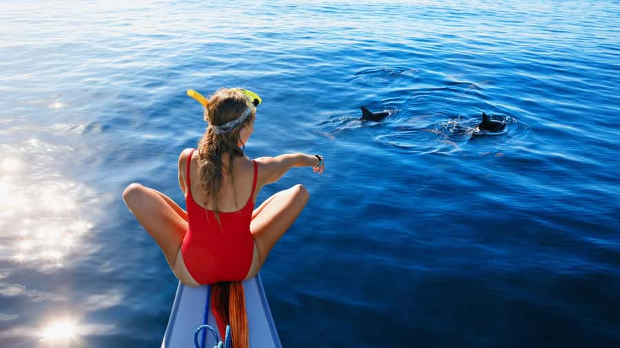 Bali/Lovina: Dolphin Snorkeling, Swimming & Waterfall Tour - What the dolphin swim really involves