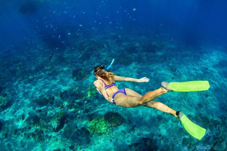 Bali/Lovina: Dolphin Snorkeling, Swimming & Waterfall Tour - Guides, transport, and the real price