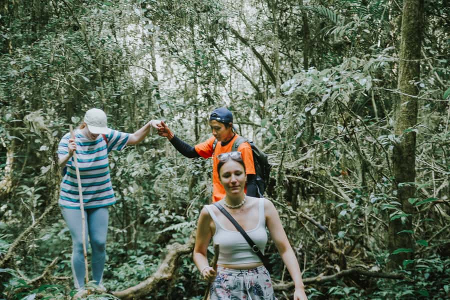 Bali: Munduk Waterfalls Trek, Twin Lakes and Temple Tour - Key points at a glance