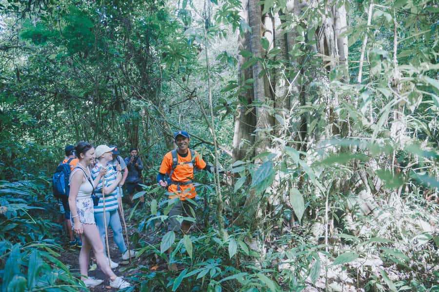 Bali: Munduk Waterfalls Trek, Twin Lakes and Temple Tour - Banyumala Twin Waterfall is the payoff