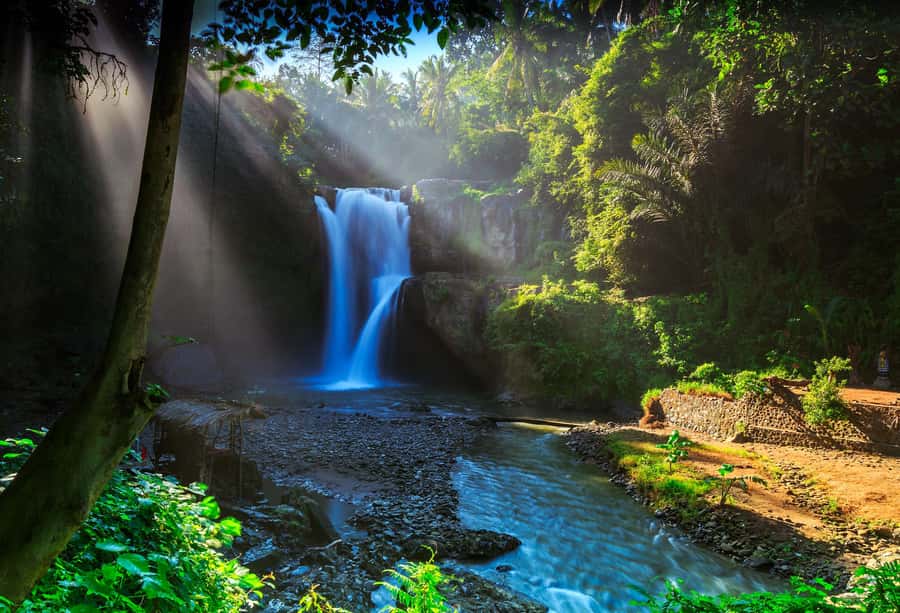 Bali: Penglipuran Village, Rice Terrace & Waterfall Tour - Tegalalang Rice Terrace, the scenic centerpiece
