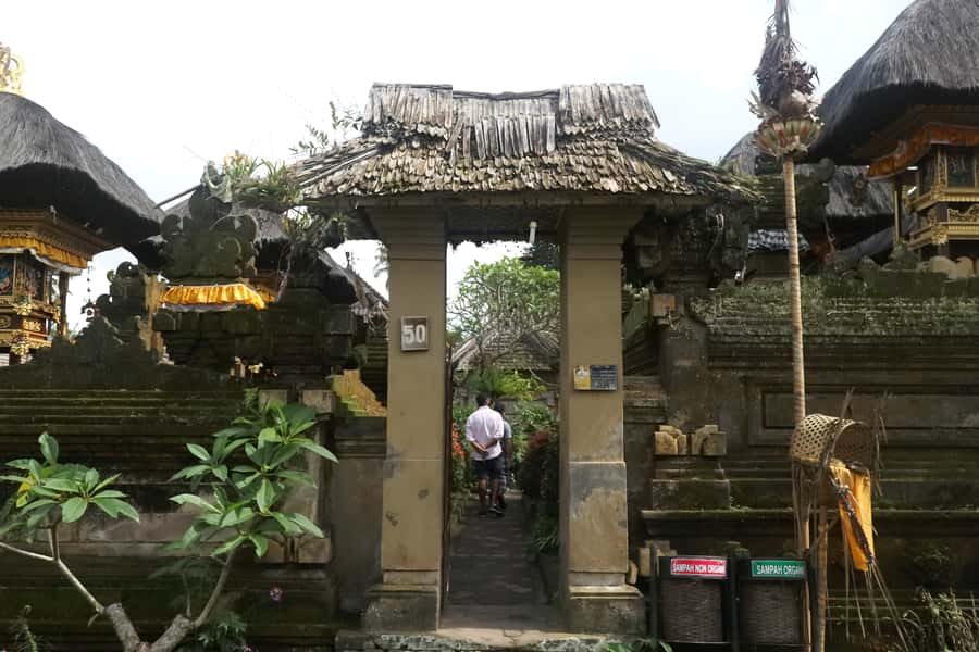 Bali: Penglipuran Village, Rice Terrace & Waterfall Tour - Why the guide can make or break the outing