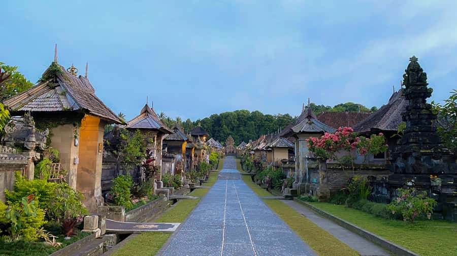 Bali: Penglipuran Village, Rice Terrace & Waterfall Tour - Is the $15 starting price good value?