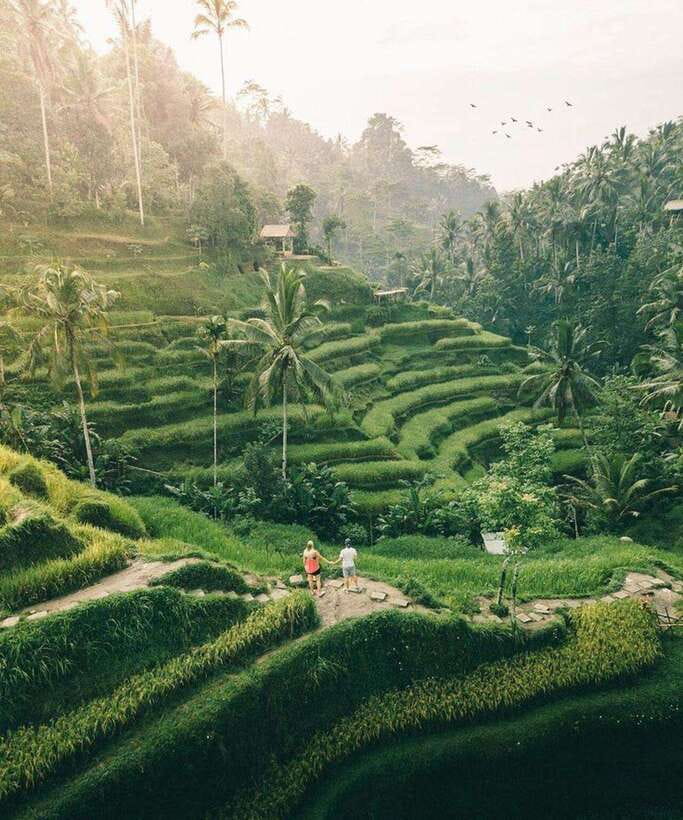 Bali: Rice terrace, Waterfall, and water Temple Day Tour - Tirta Empul and the meaning of purification