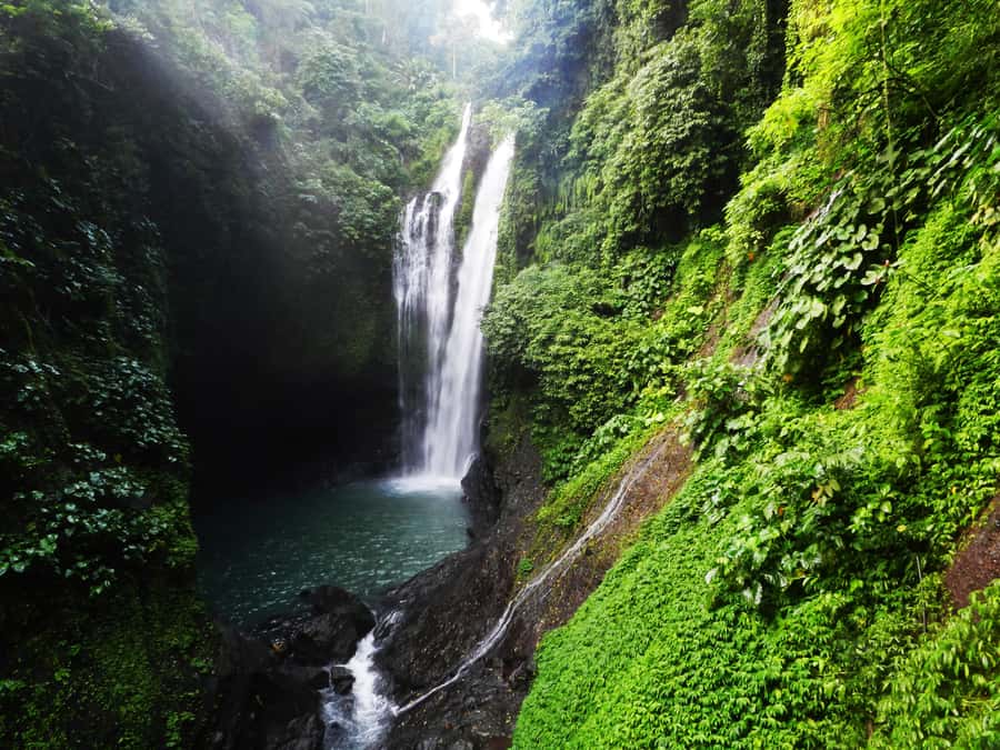 Bali: Sambangan Waterfalls Trekking, Sliding, & Jumping Trip - From your hotel to Sambangan village