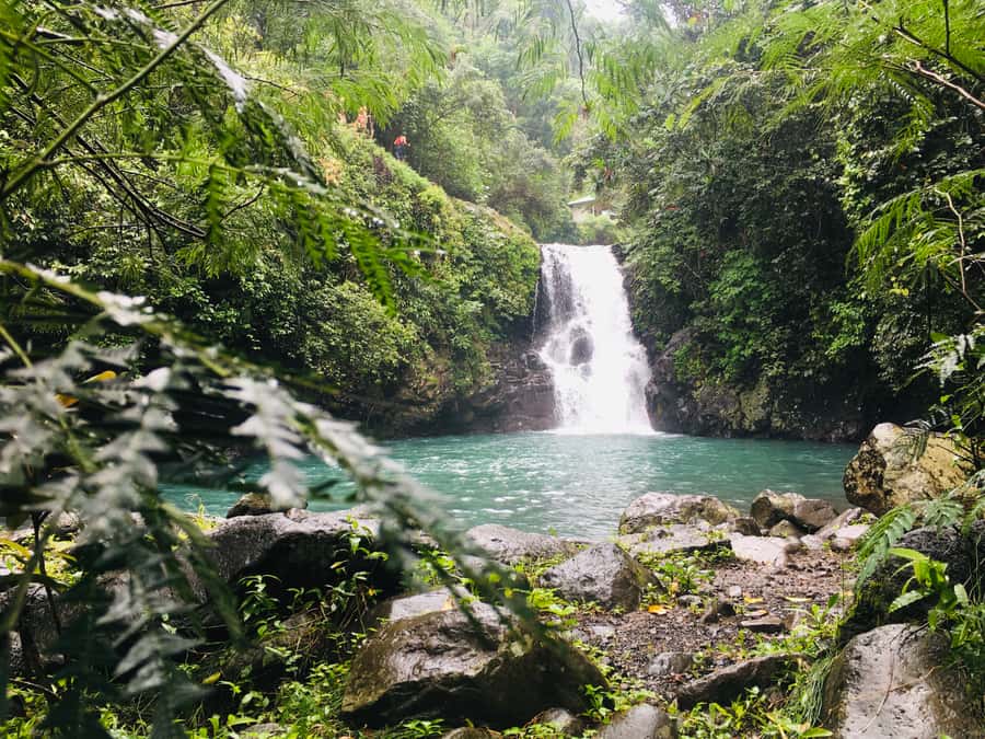 Bali: Sambangan Waterfalls Trekking, Sliding, & Jumping Trip - Aling-Aling Waterfall and the main water route