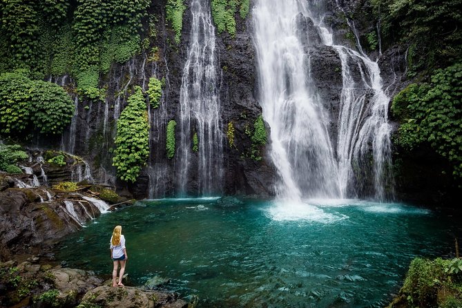 Bali Secret Waterfall Tour - Private and All-Inclusive - Price and What You Receive for $109