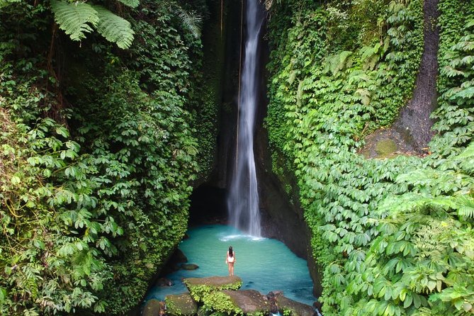 Bali Secret Waterfall Tour - Private and All-Inclusive - The Drive Is Part of the Experience