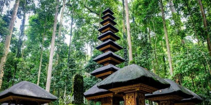 Bali Secret Waterfalls with Ulun Danu Beratan Temple Tour - Who should book this tour?