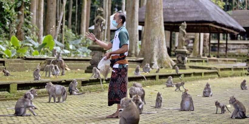 Bali Secret Waterfalls with Ulun Danu Beratan Temple Tour - Leke Leke Waterfall: a quiet hour in the forest